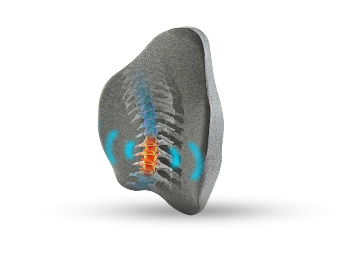Pillowen® Ortopedik Bel & Sırt Destek Yastığı