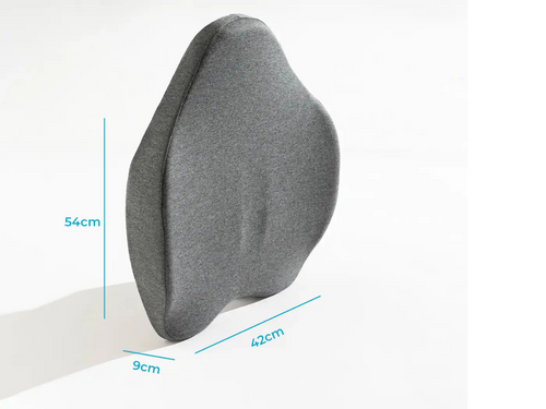 Pillowen Lumbar Support