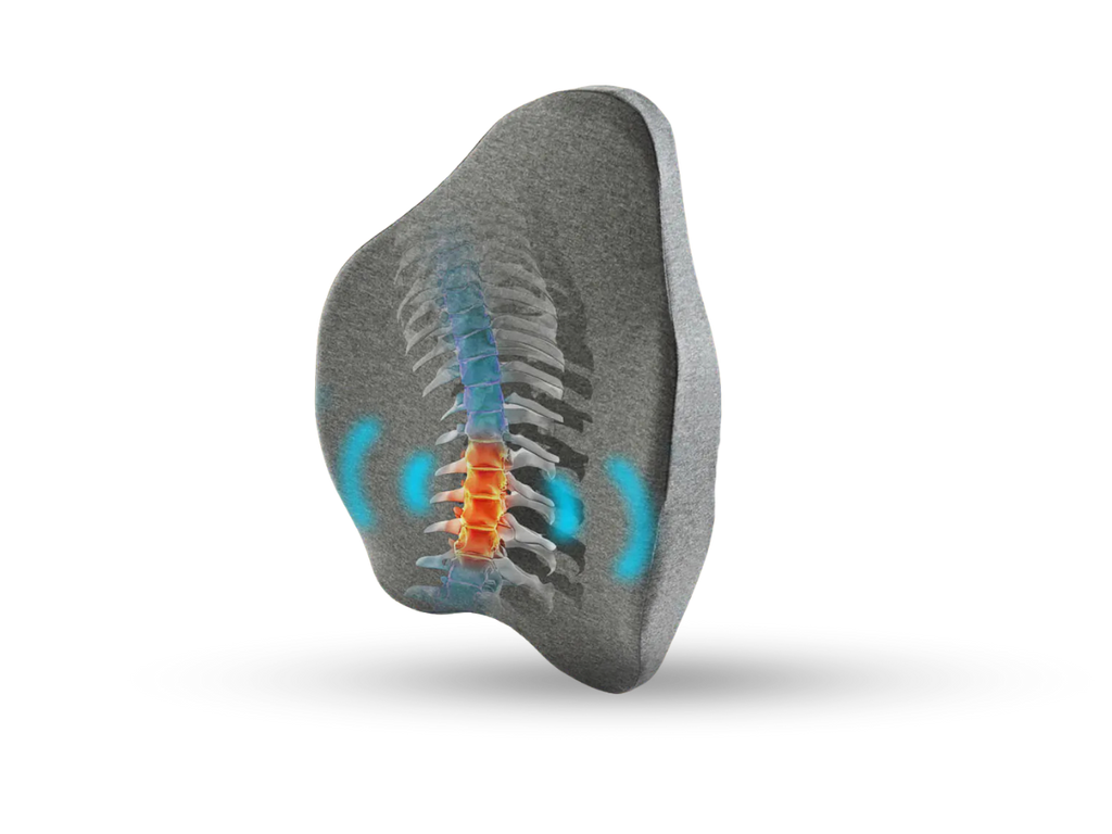 Pillowen Lumbar Support