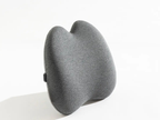 Pillowen Orthopedic Lumbar & Back Support Pillow